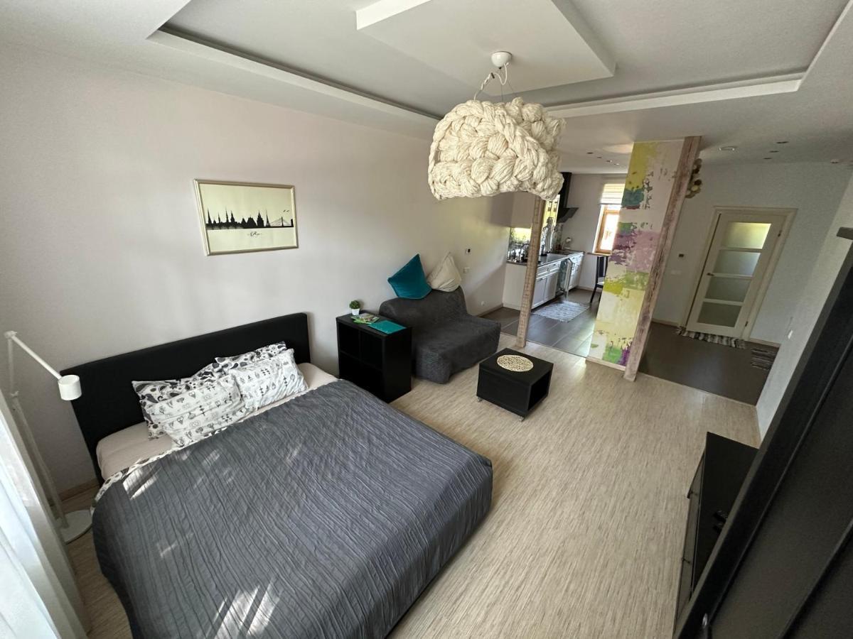 Studio Apartment In Private House Рига Екстер'єр фото